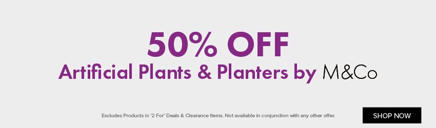 50% OFF Artificial Plants & Planters by M&Co