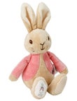 Peter Rabbit Flopsy Bunny Silk Rattle, Assorted product photo View 03 S