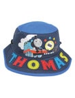 Thomas The Tank Engine Bucket Hat Gift product photo