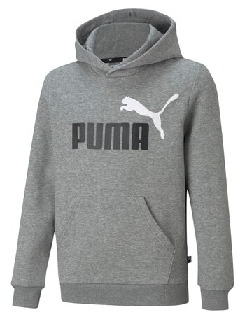 Puma Essential Big Logo Fleece Hoodie, Grey product photo