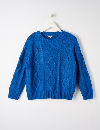 Switch Cable Jumper, Royal Blue product photo