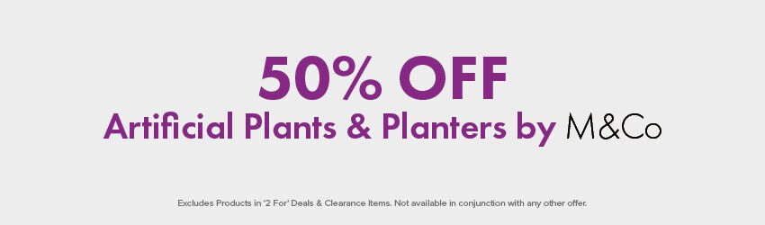 50% OFF Artificial Plants & Planters by M&Co