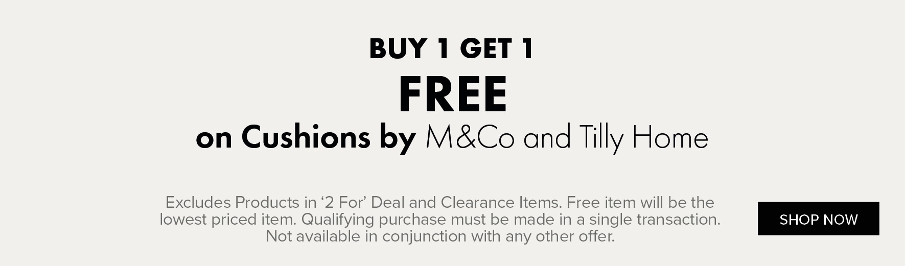 BUY 1 GET 1 FREE on Cushions by M&Co and Tilly Home