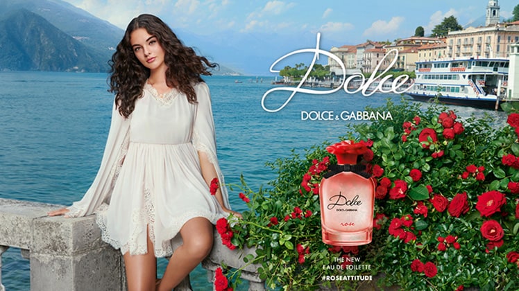 Buy Dolce & Gabbana online at