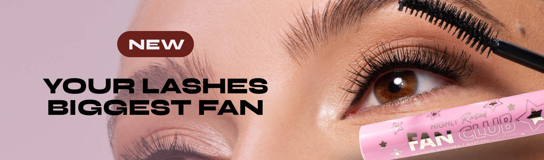 Lashes biggest fan