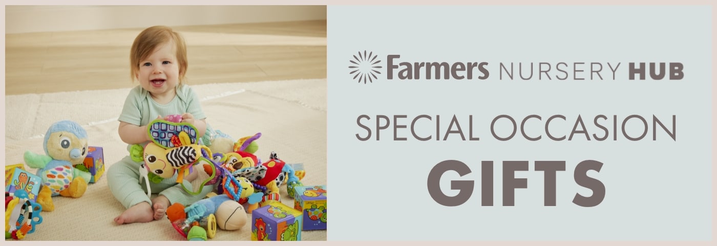 Special Occasion Gift Guide