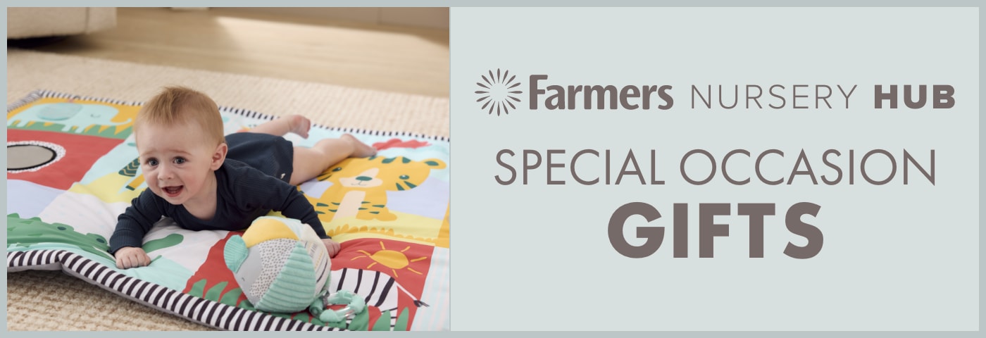 Special Occasion Gift Guide