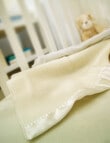 Swanndri Wool Cot Blanket product photo View 02 S
