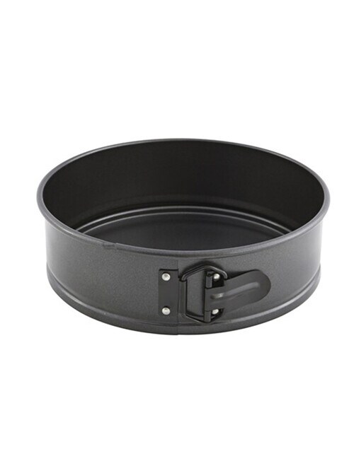 Soffritto Springform Pan, 23cm product photo