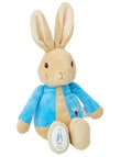Peter Rabbit My First Peter 26cm product photo View 02 S