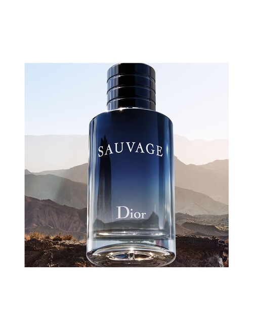 Dior Sauvage Eau De Toilette product photo View 07 L