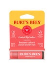Burts Bees Tinted Lip Balm Hibiscus, 4.25g product photo