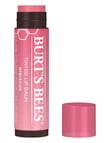 Burts Bees Tinted Lip Balm Hibiscus, 4.25g product photo View 02 S