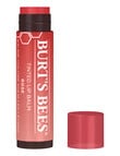 Burts Bees Tinted Lip Balm, Rose product photo View 02 S