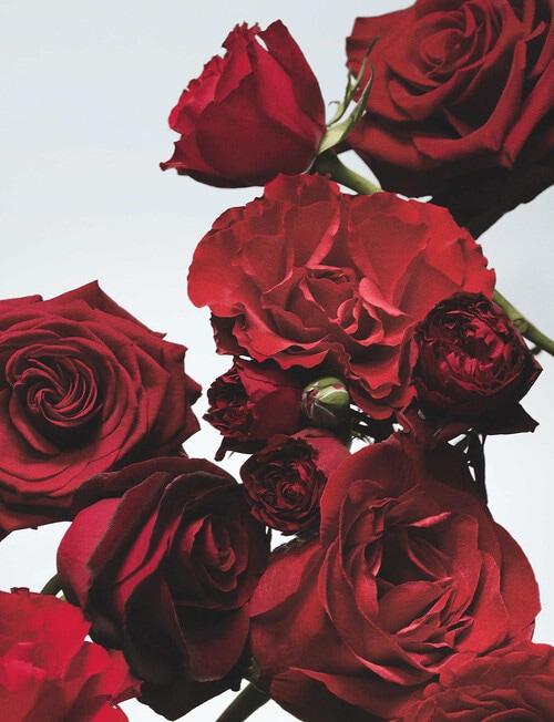 Jo Malone London Red Roses Cologne, 100ml product photo View 03 L