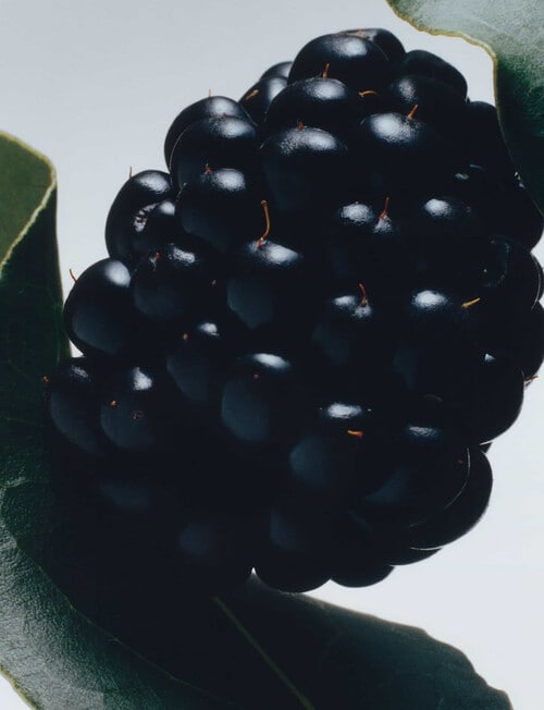 Jo Malone London Blackberry & Bay Cologne, 30ml product photo View 03 L