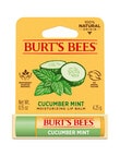 Burts Bees Lip Balm, Cucumber Mint product photo