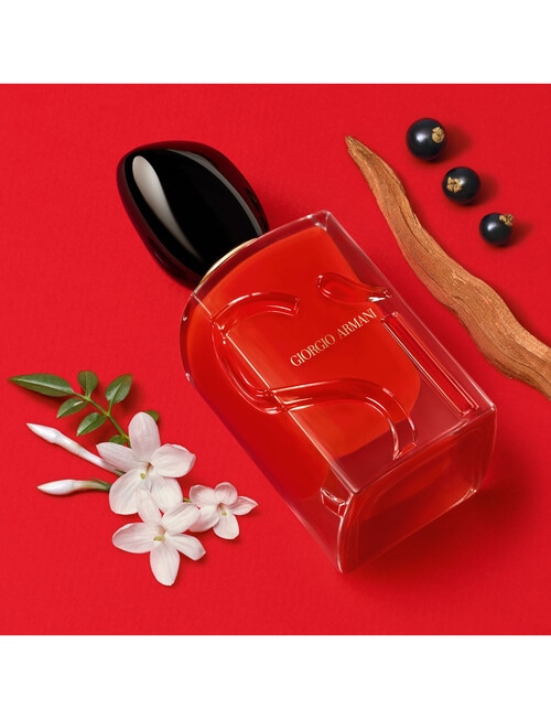 Armani Si Passione Eau De Parfum product photo View 04 L