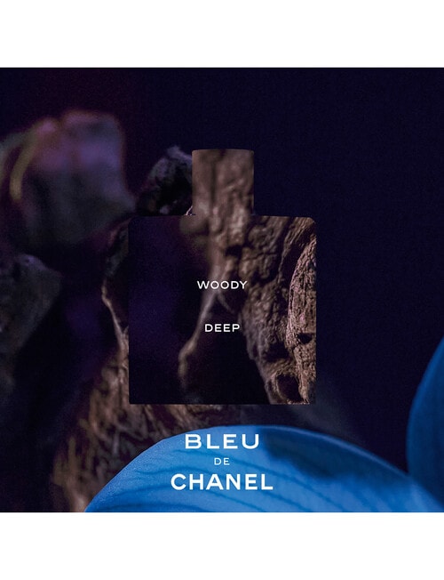 CHANEL BLEU DE CHANEL Parfum Spray product photo View 05 L