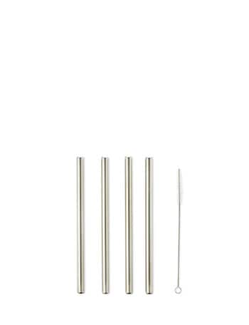Momento Stainless Steel Smoothie Straws With Brush, 5 Piece product photo
