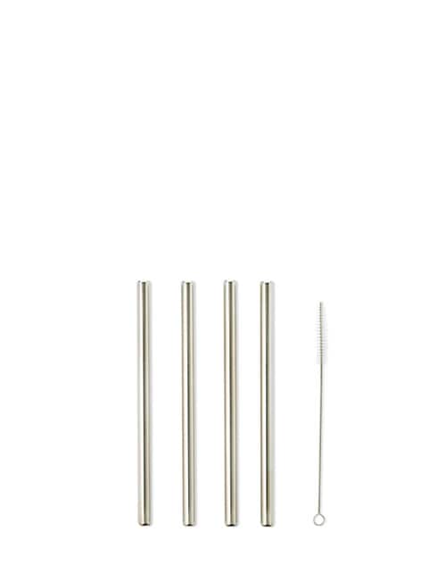 Momento Stainless Steel Smoothie Straws With Brush, 5 Piece product photo