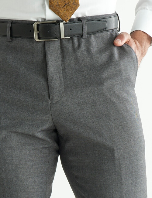 Laidlaw + Leeds Tailored Textured Pants, Grey product photo View 04 L