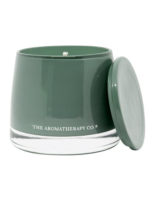 The Aromatherapy Co. Therapy Garden Candle, Wild Mint & Lime product photo