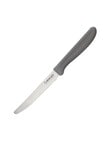 Cuisine::pro Classic Multi-Use Knife, Grey, 11cm product photo
