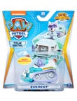 Paw Patrol Die Cast Vehicles, Assorted product photo View 07 S