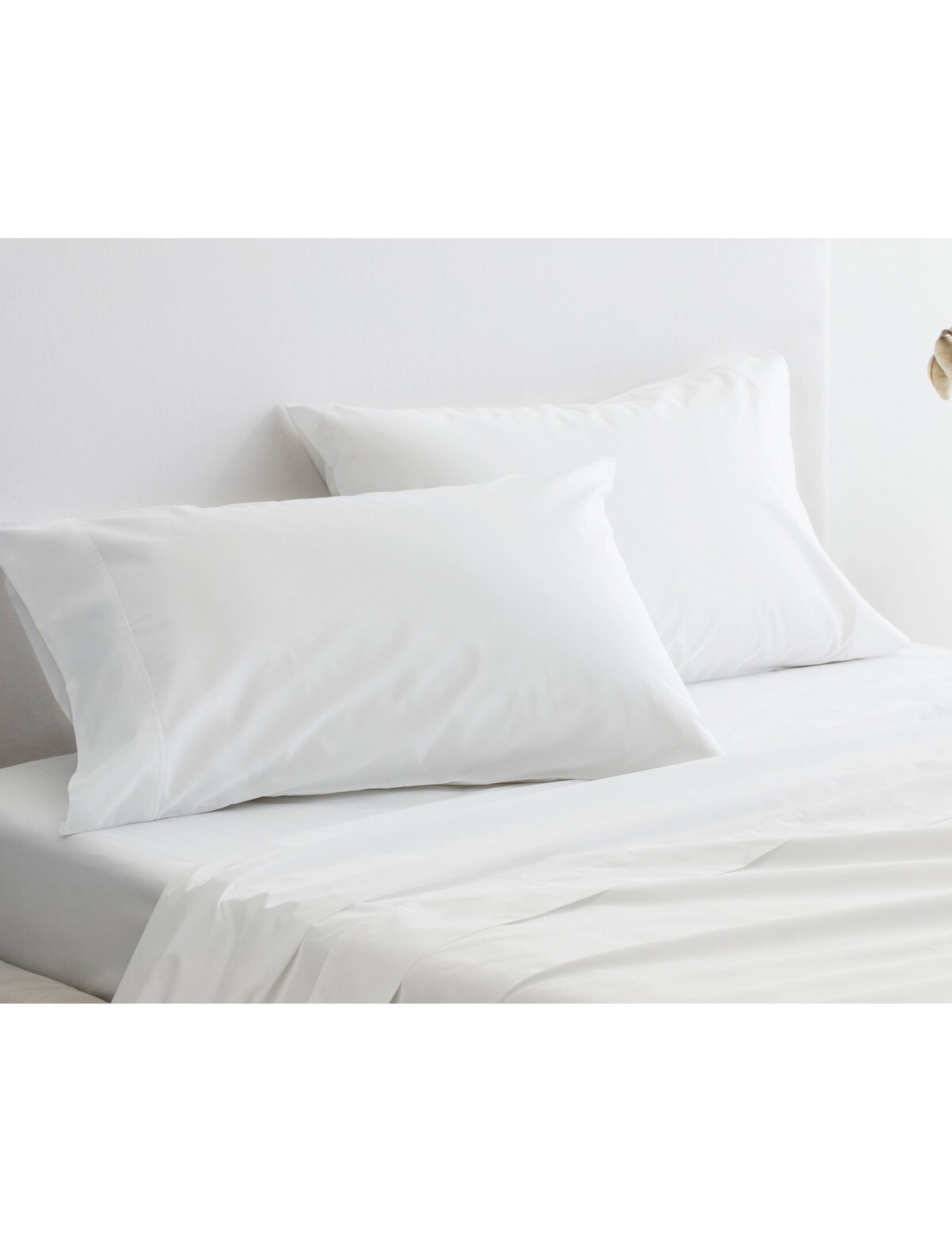 Sheridan 300 Thread Count Organic 