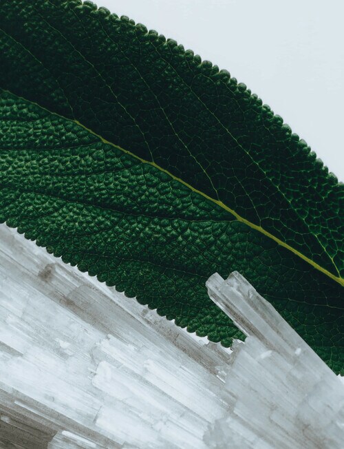 Jo Malone London Wood Sage & Sea Salt Cologne, 50ml product photo View 03 L