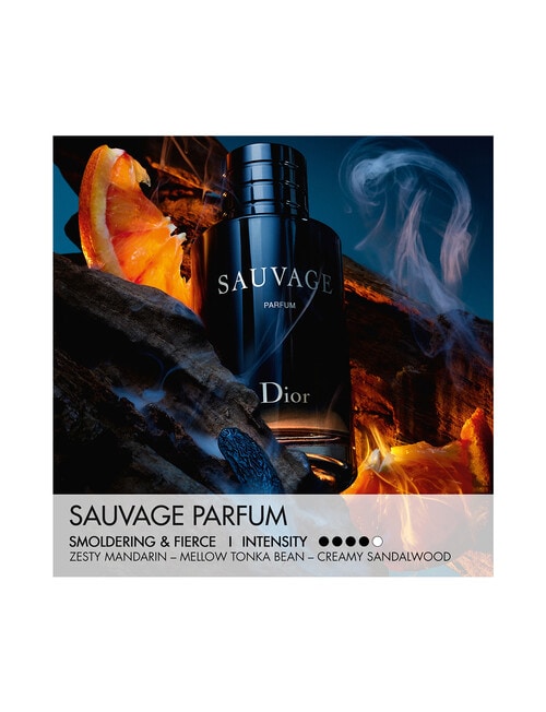 Dior Sauvage Parfum product photo View 02 L