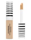 COVERGIRL TruBlend Undercover Concealer product photo