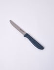 Baccarat Pro Classic Serrated Knife, 13cm, Grey product photo