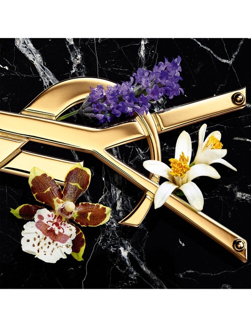 Yves Saint Laurent Libre Eau de Parfum Intense product photo View 05 L