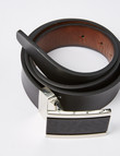 Laidlaw + Leeds Matte & Silver Reversible Box Buckle Belt, Black & Brown product photo View 02 S