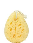 Simply Essential Luxe Bath Sponge product photo