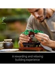 LEGO Botanicals Botanical Collection - Bonsai Tree, 10281 product photo View 04 S