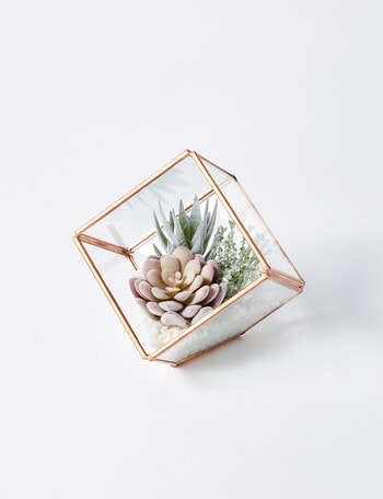 M&Co Succulent Terrarium, Small product photo