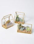 M&Co Brass Terrarium House, Green product photo View 03 S