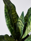 M&Co Faux Snake Plant, Medium product photo View 02 S