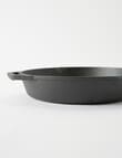 SouthWest Pre-Seasoned Cast Iron Frypan, 26cm product photo View 04 S