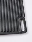 SouthWest Pre-Seasoned Cast Iron Griddle, 46cm x 26cm product photo View 02 S