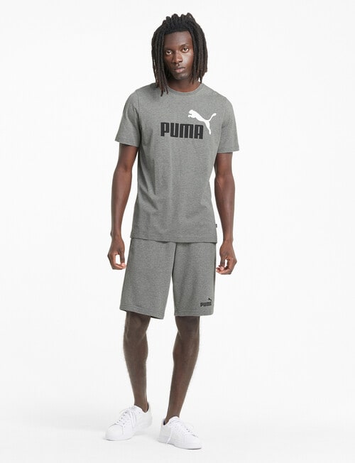 Puma Essentials Short 10", Grey product photo View 05 L