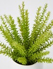 M&Co Fern in Curve Glaze Pot, White product photo View 02 S