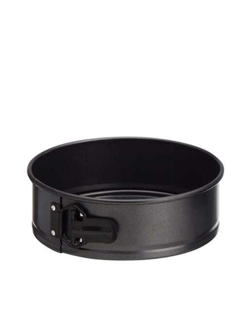 Soffritto Springform Pan, 25cm product photo