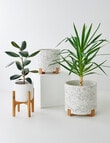 M&Co Terrazzo Indoor Pot, Medium product photo View 05 S