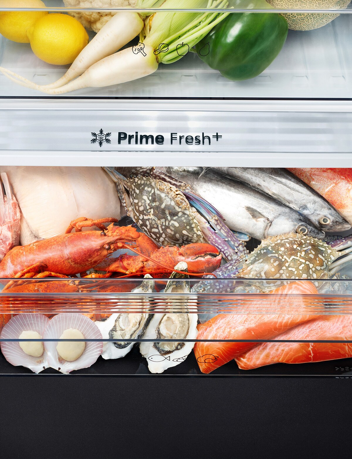 Panasonic 377L Bottom Mount Fridge Freezer with Water Dispenser, Black