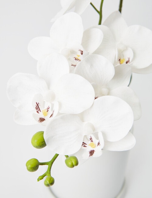 M&Co Faux White Orchid, Large product photo View 02 L