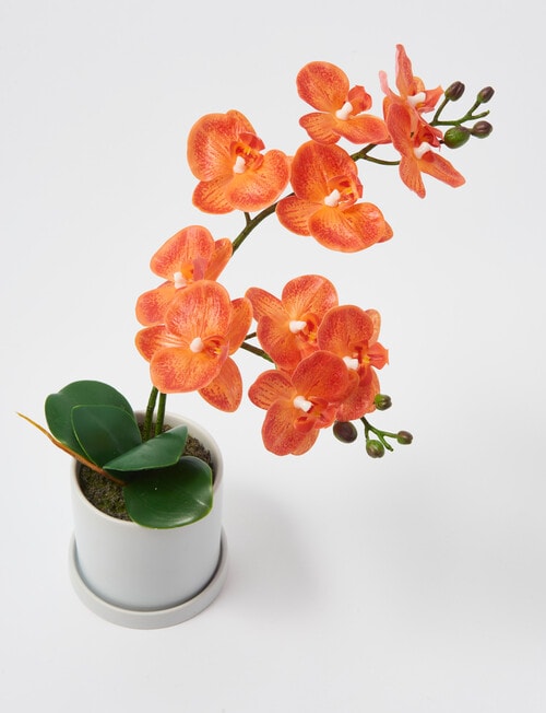 M&Co Faux Orange Orchid, Medium product photo View 02 L
